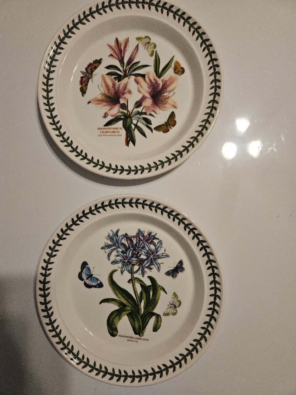 2 Portmeirion Botanic Garden Dinner Plate 10.5